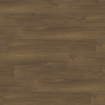 Paradigm Performer Plus Finch