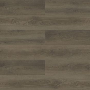 Paradigm Performer Plus Lark