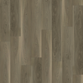 Paradigm Performer Plus Peacock