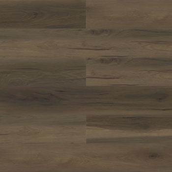 Paradigm Performer Plus Sparrow