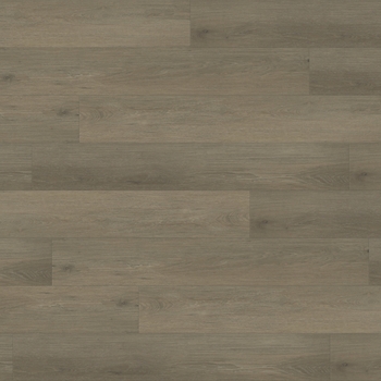 Paradigm Performer Plus Tern