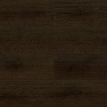Paradigm Insignia Powell