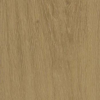 Patcraft Adesa Meadow