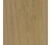 Patcraft Adesa Meadow