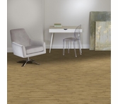 Patcraft Adesa Meadow