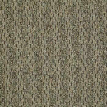 Patcraft Approach Abstract Carpet