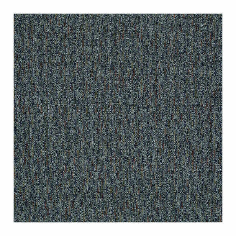 Patcraft Approach Cautious Carpet
