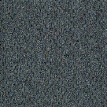 Patcraft Approach Cautious Carpet