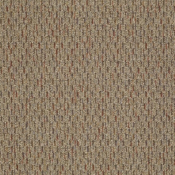 Patcraft Approach Literal Carpet