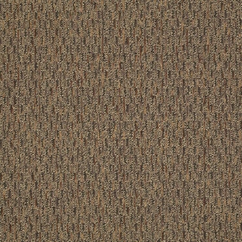 Patcraft Approach Novel Carpet