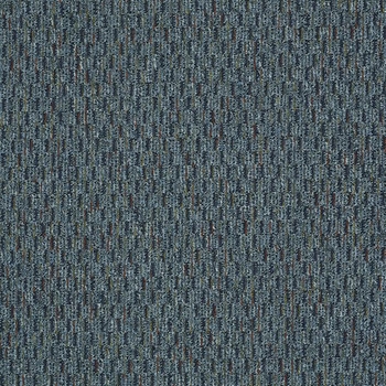 Patcraft Approach Shotgun Carpet