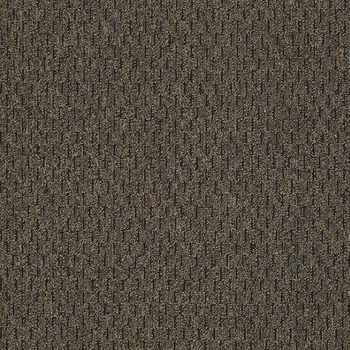 Patcraft Approach Structured Carpet