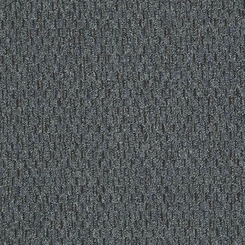 Patcraft Approach Surreal Carpet