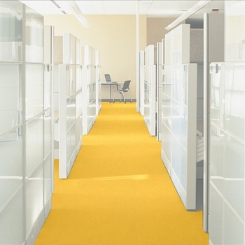 Patcraft Color Choice