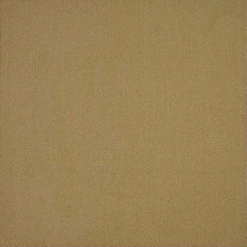 Patcraft Color Choice Aloe Carpet