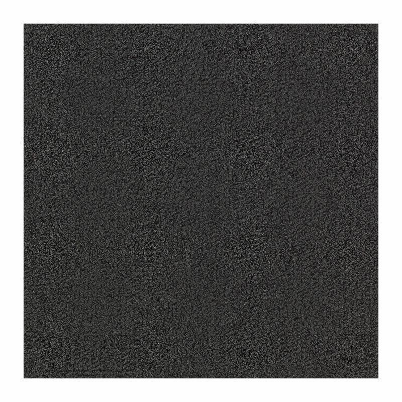 Patcraft Color Choice Black Carpet
