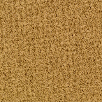 Patcraft Color Choice Brasserie Carpet