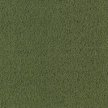 Patcraft Color Choice Cactus Carpet