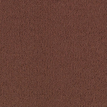 Patcraft Color Choice Chocolate Carpet