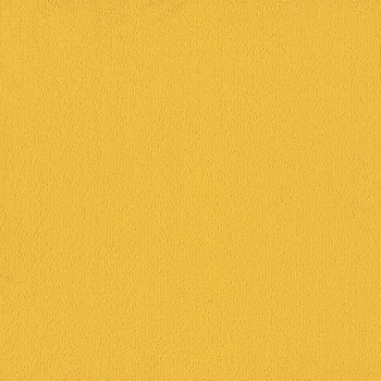Patcraft Color Choice Citrus Carpet