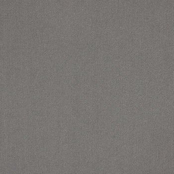 Patcraft Color Choice Dolphin Carpet