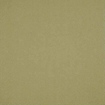 Patcraft Color Choice Fescue Carpet