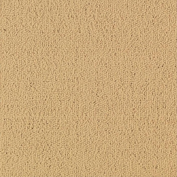 Patcraft Color Choice Flax Carpet