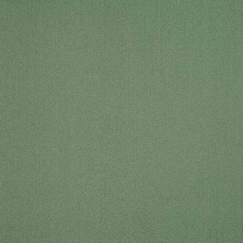 Patcraft Color Choice Foliage Carpet Tile