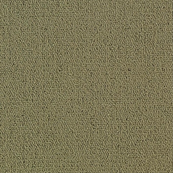 Patcraft Color Choice Glass Carpet