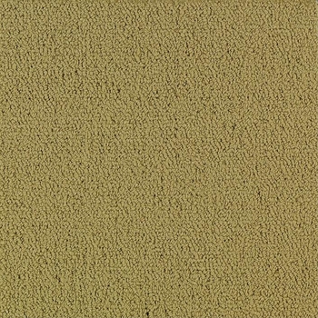 Patcraft Color Choice Herbal Carpet
