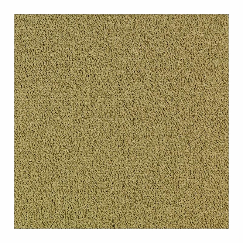 Patcraft Color Choice Herbal Carpet Tile