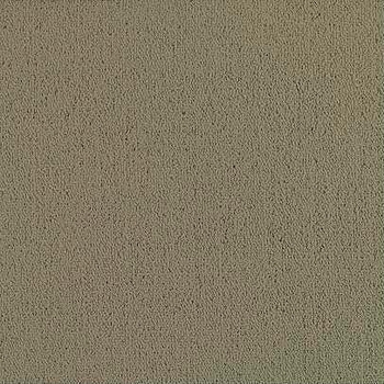 Patcraft Color Choice Lichen Carpet Tile
