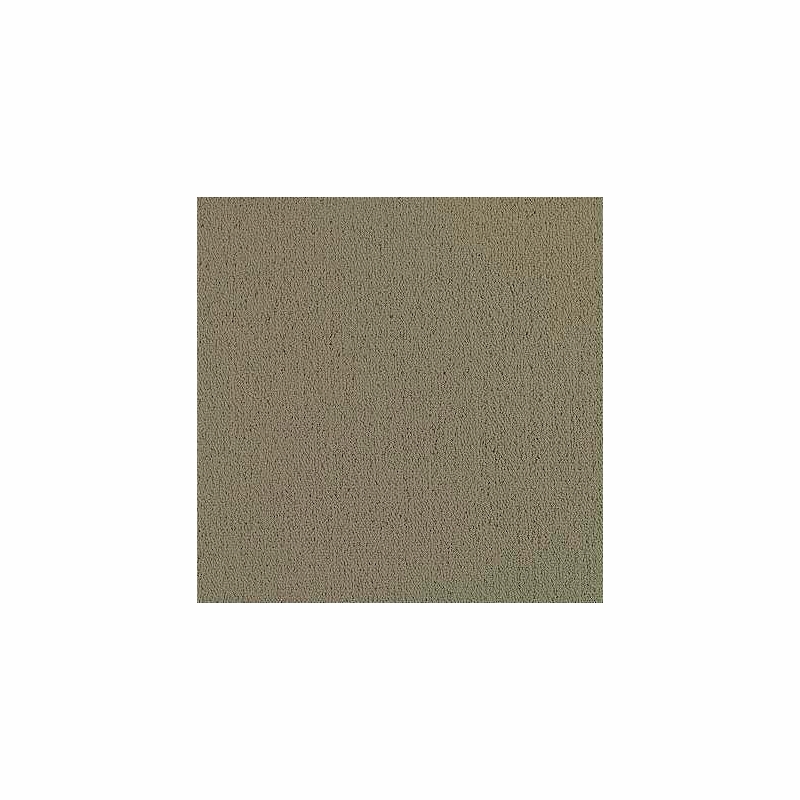Patcraft Color Choice Lichen Carpet Tile