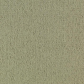 Patcraft Color Choice Light Taupe Carpet
