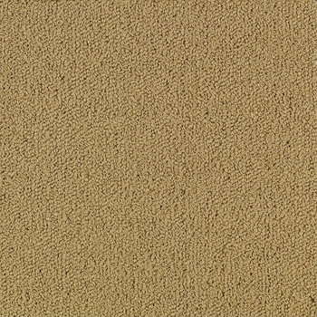 Patcraft Color Choice Pecan Carpet