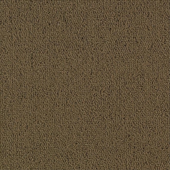 Patcraft Color Choice Suede Carpet
