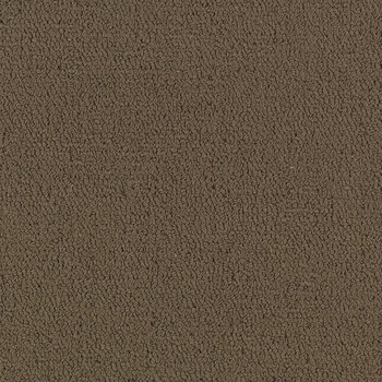 Patcraft Color Choice Timber Carpet Tile