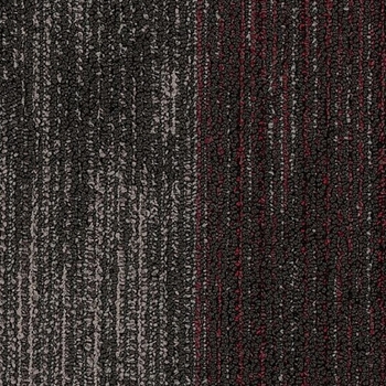 Patcraft Color Filter Refract