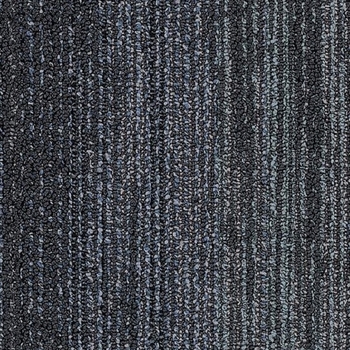 Patcraft Color Filter Spectrum