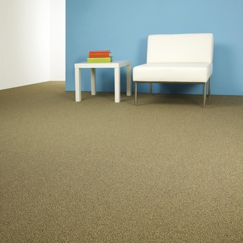 Patcraft Color Your World