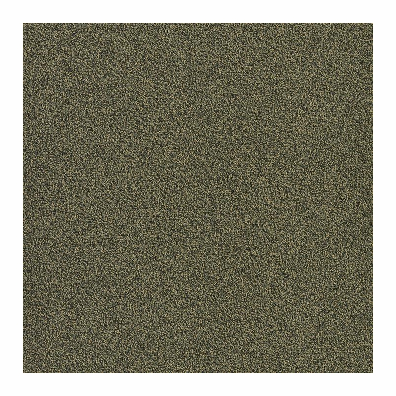 Patcraft Color Your World Color Aesthetics Carpet