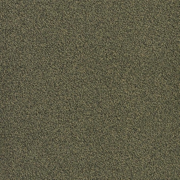 Patcraft Color Your World Color Aesthetics Carpet Tile