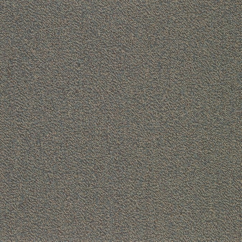 Patcraft Color Your World Color Books Carpet