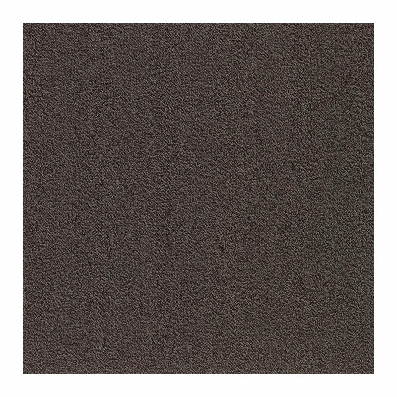 Patcraft Color Your World Color Fields Carpet
