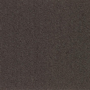 Patcraft Color Your World Color Fields Carpet
