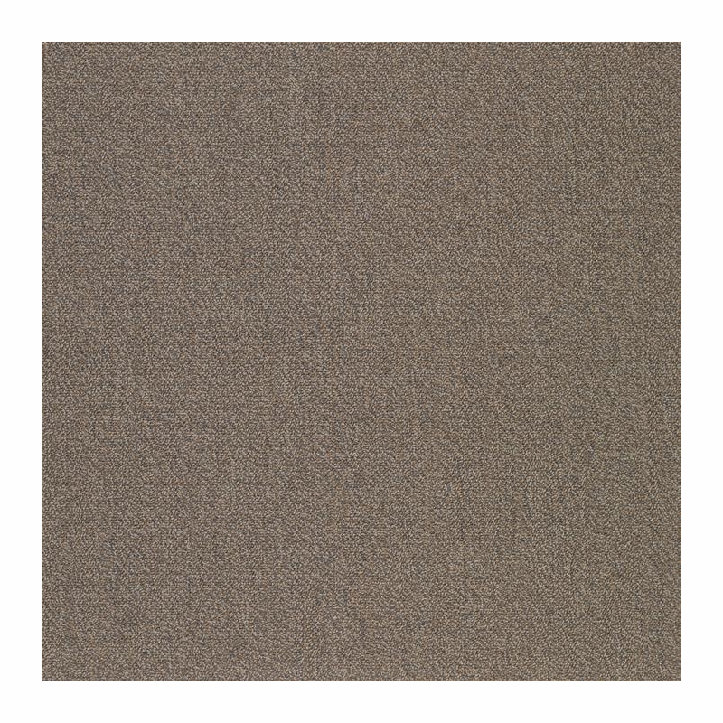 Patcraft Color Your World Color Forecast Carpet