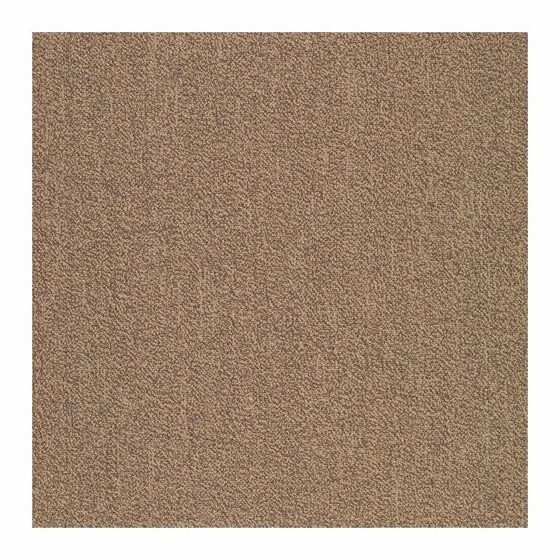 Patcraft Color Your World Color Guard Carpet