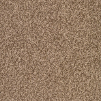 Patcraft Color Your World Color Guard Carpet Tile