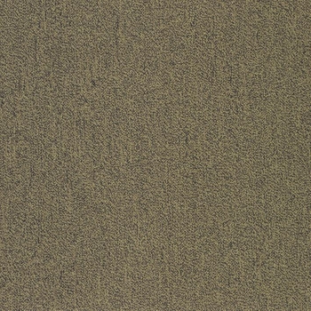 Patcraft Color Your World Color Mapping Carpet
