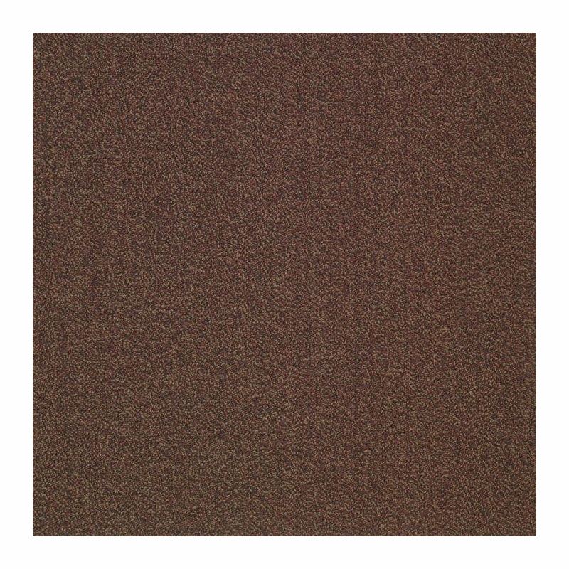 Patcraft Color Your World Color Match Carpet